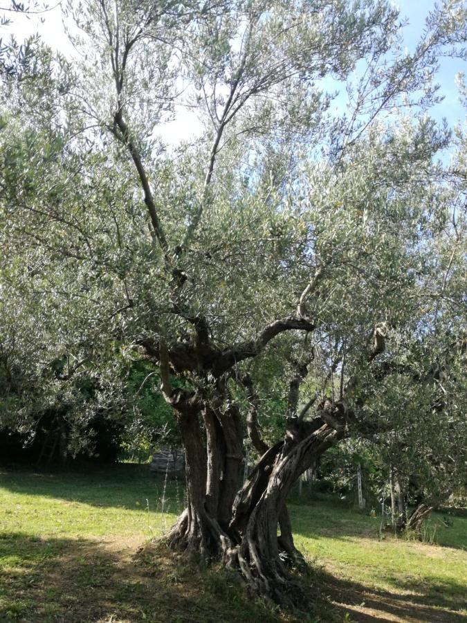 Vacanze In Collina, Tra Mare E Monti Bucchianico Exterior photo